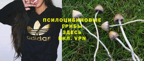 COCAINE Бородино