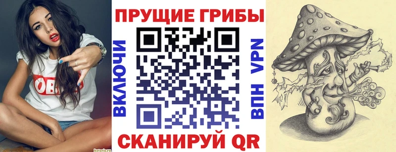 OMG   Туран  Галлюциногенные грибы ЛСД 